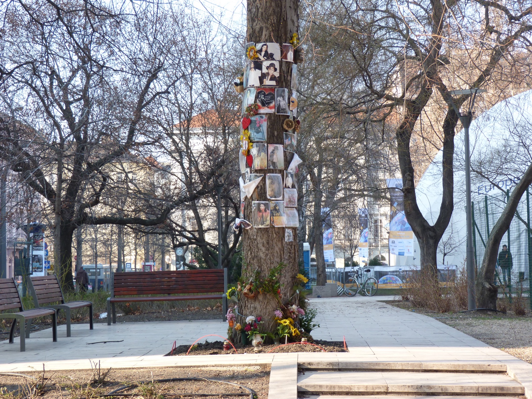 Fan memorial tree for Michael Jackson in Budapest